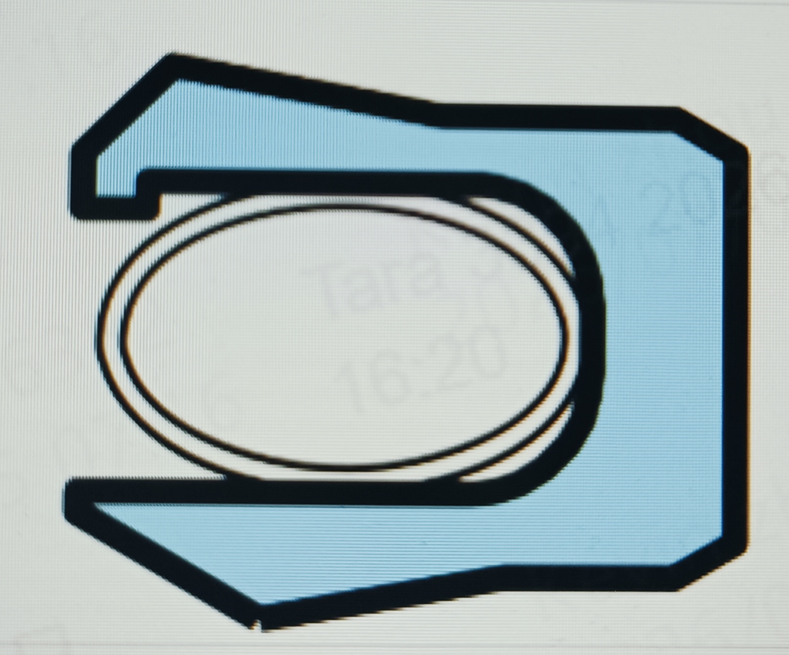 PTFE Spring Energized Seals-SC